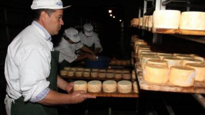 Olandezii care deţin marca Napolact închid fabrica de brânzeturi de la Carei